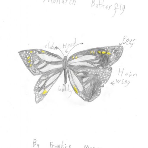 Frankie Y2B and Olivia Y5R have been working hard. Today they have completed artwork challenges set by their teachers